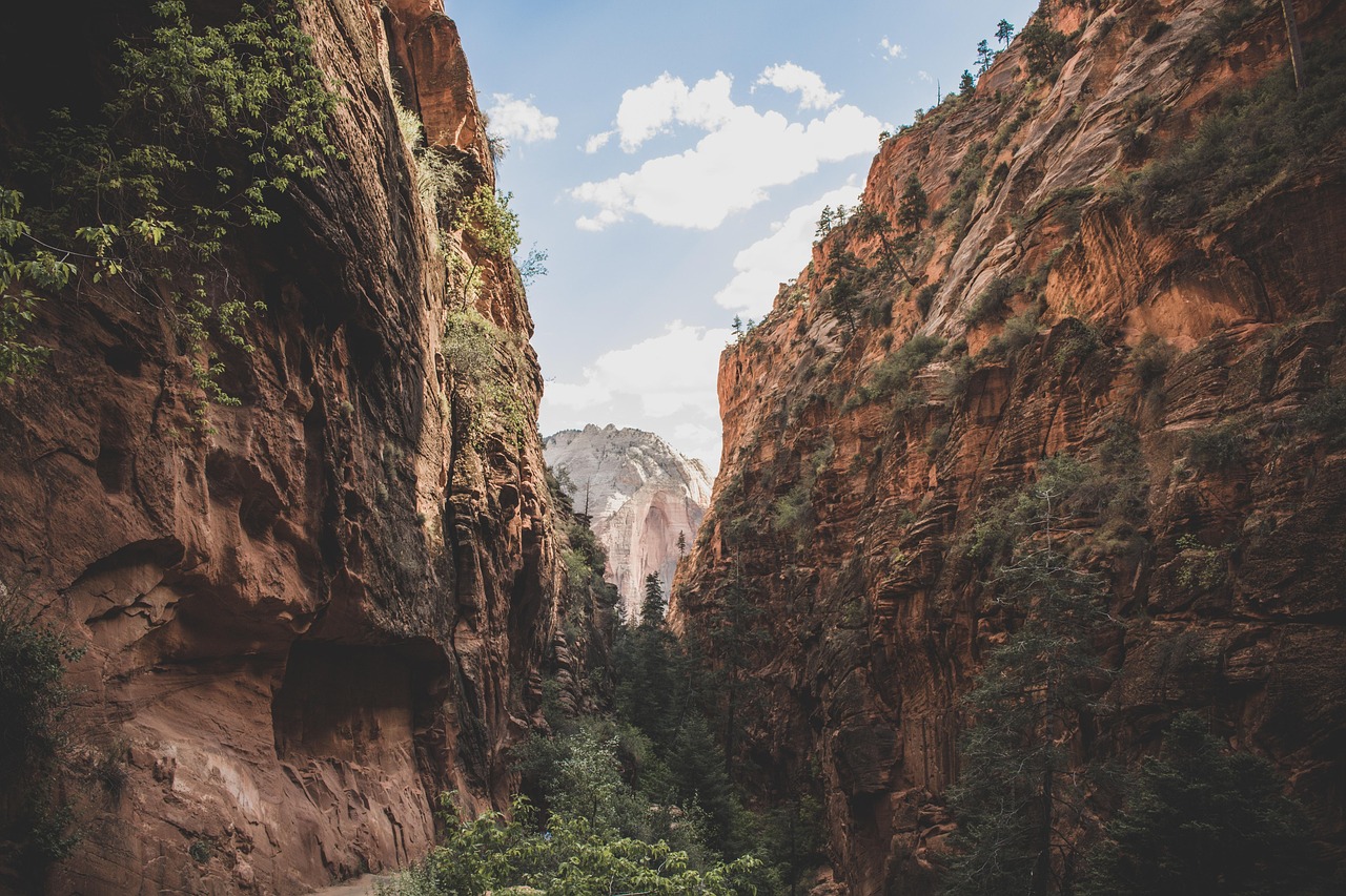 Big Cottonwood Canyon Area Web Design ~ Web Design In…