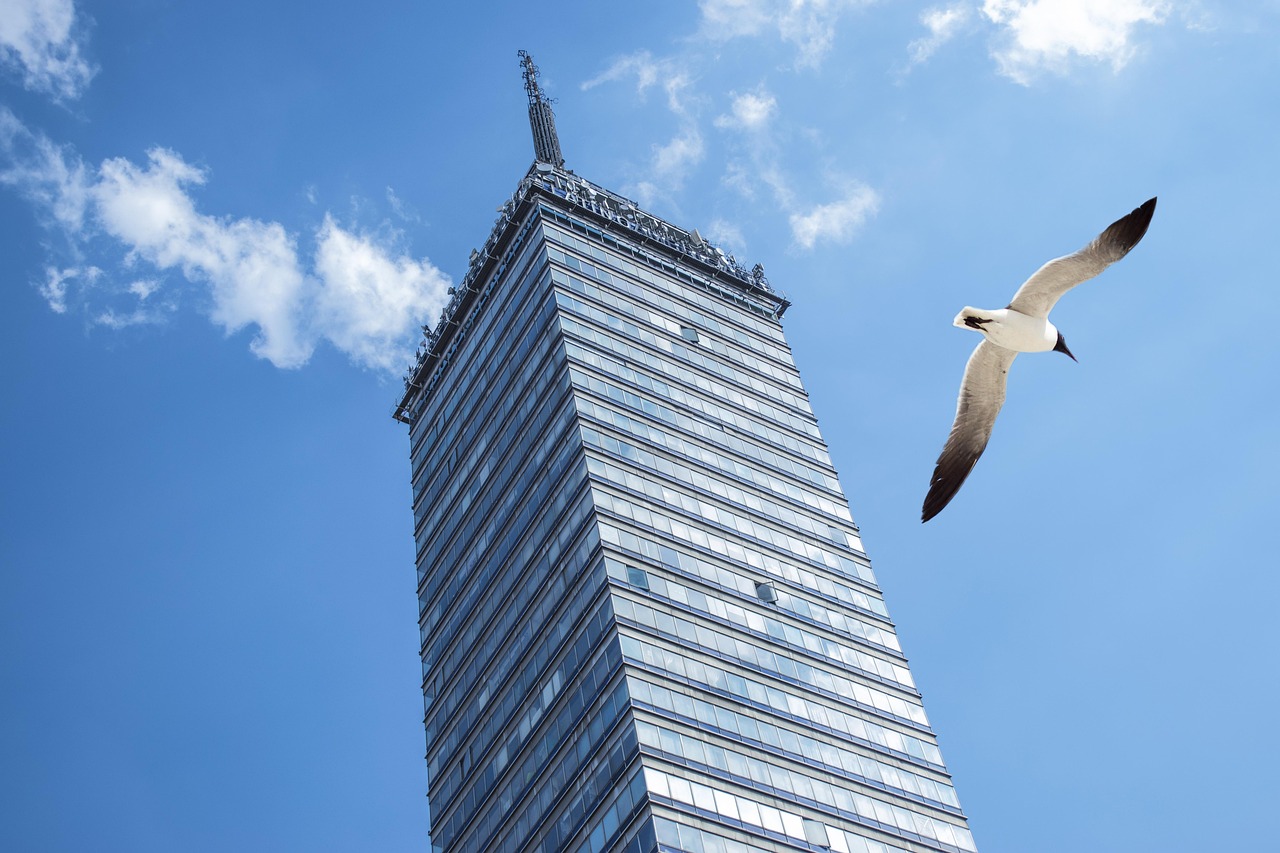 Federal Heights Web Design For Healthcare Providers – TL;DR This…