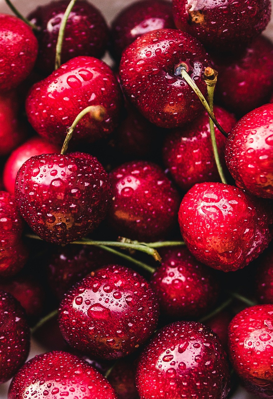 Organic SEO For Bloggers ~ TL;DR Want To Be Seen…