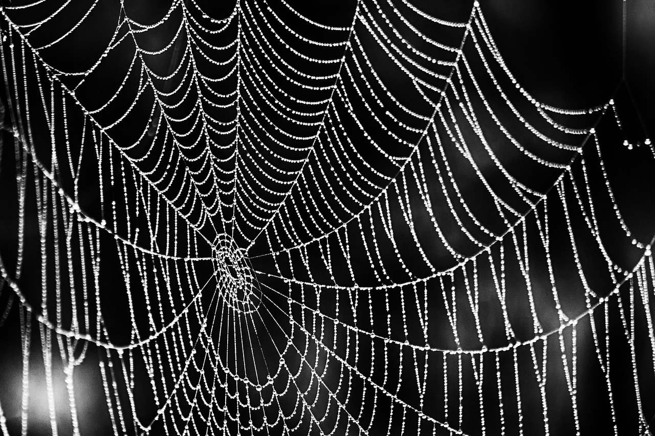 User-friendly Web Design And Development | TL;DR Want A Website…