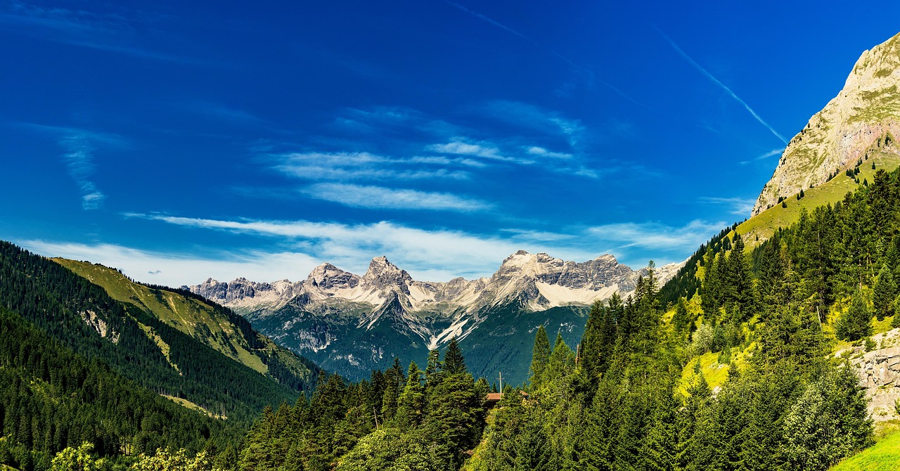 Best Web Design Companies In Guardsman Pass | TL;DR This…