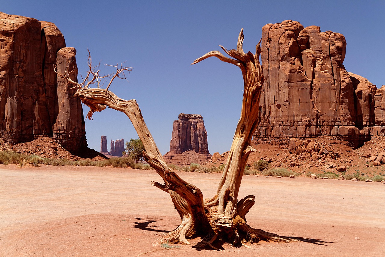 Best Web Design Companies In West Valley City » TL;DR…