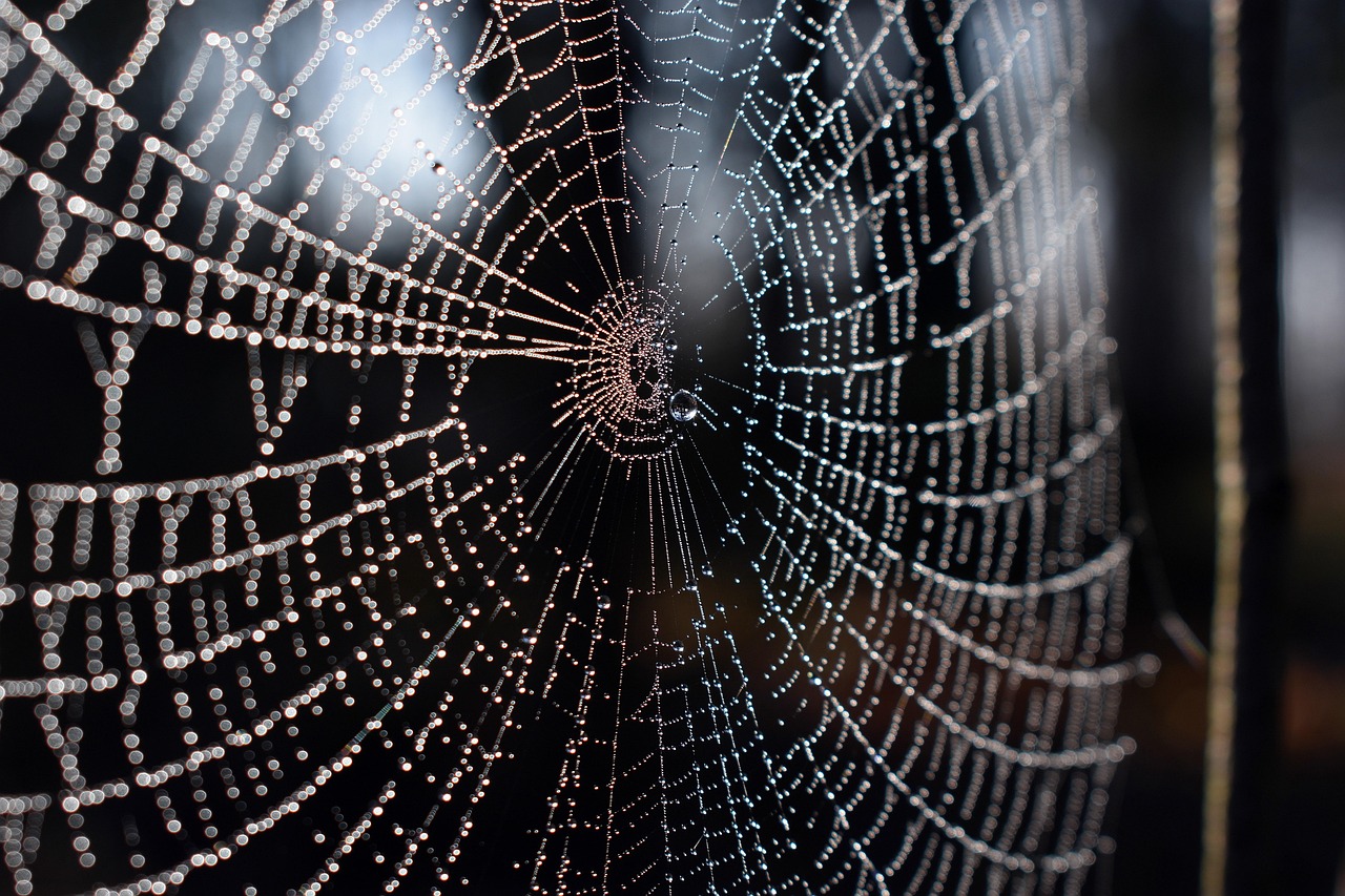 Local Web Designers In Draper | TL;DR This Article Dives…