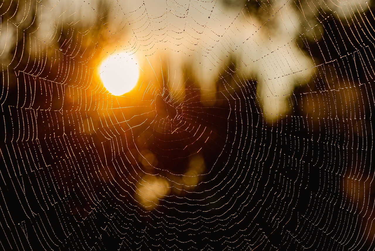 User-friendly Web Design In The Gateway – TL;DR Want To…