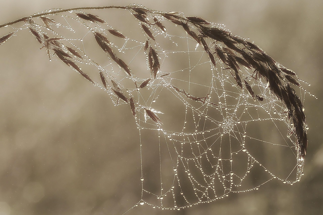 User-friendly Web Design In Woods Cross: TL;DR This Article Dives…