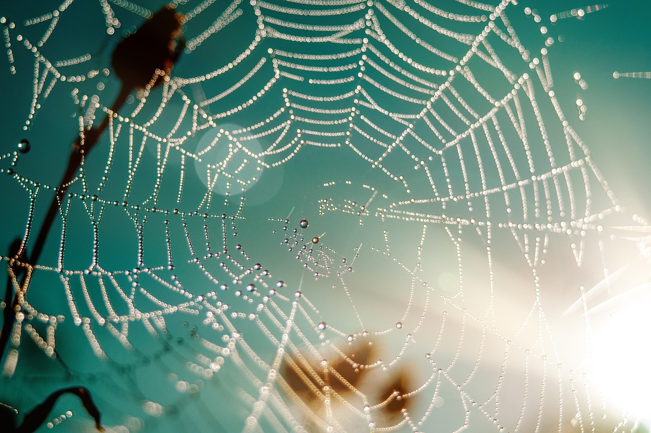Web Design Millcreek: Web Design In Millcreek: A Guide To…