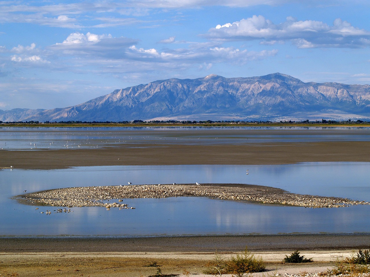 Website Redesign Services In Salt Lake County, Utah » Give…