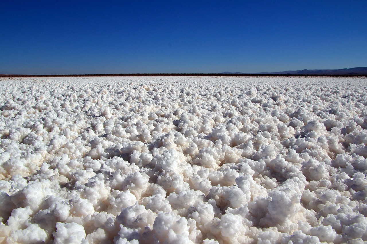 SEO Services For Salt Lake City Businesses: Want More Customers…