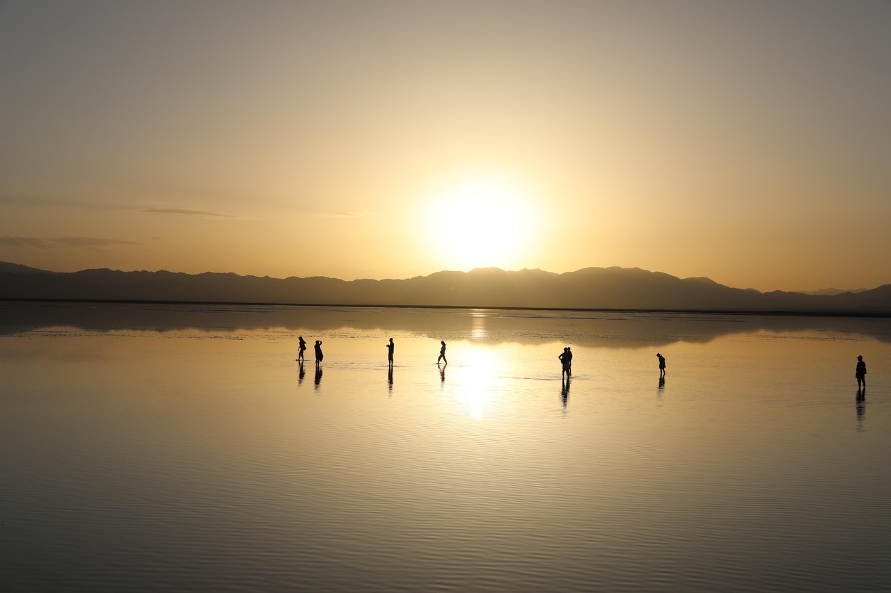 SEO Services For Salt Lake City Businesses » Want More…