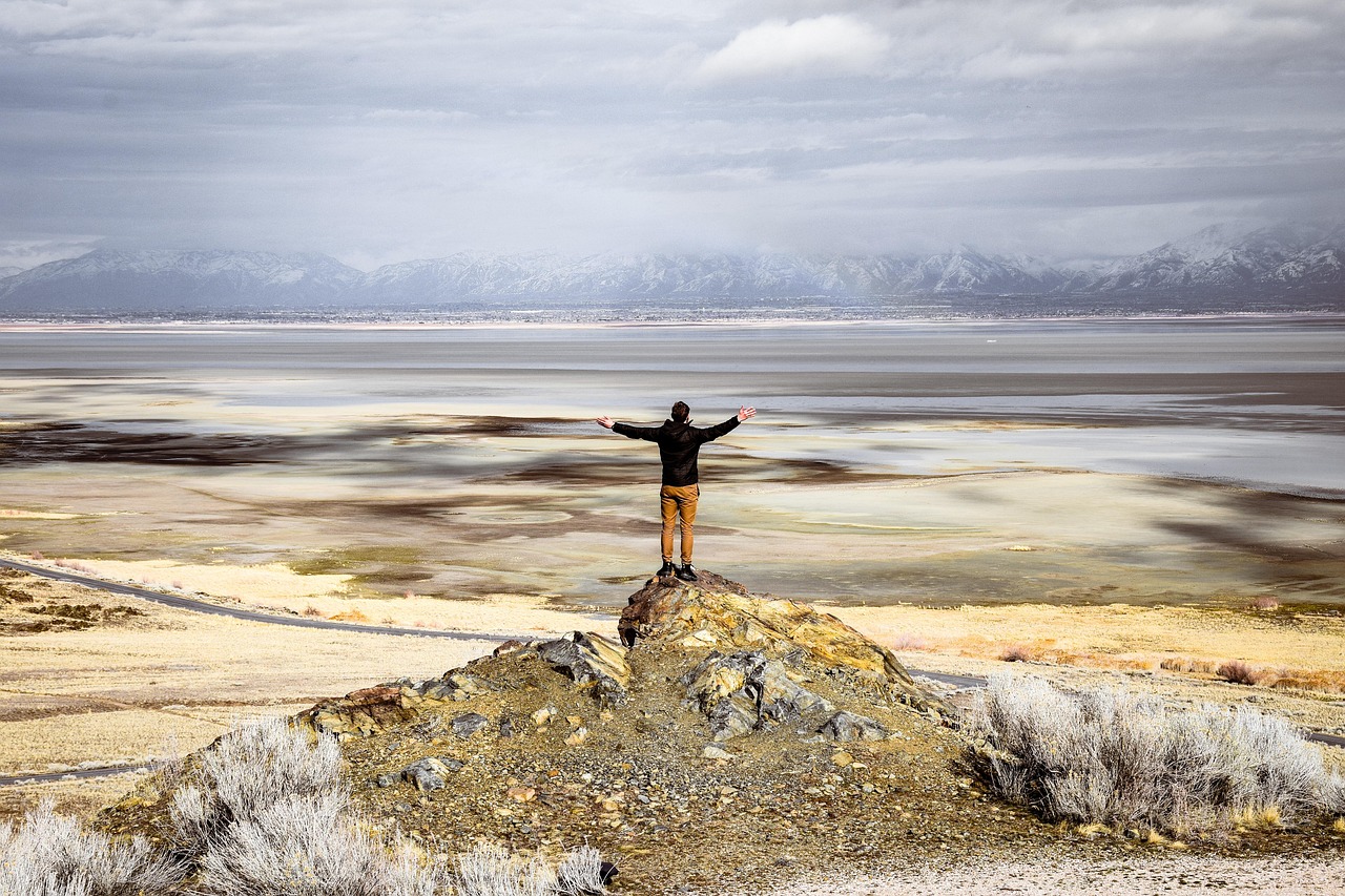 Salt Lake County, Utah Website Design ~ TL;DR – Need…