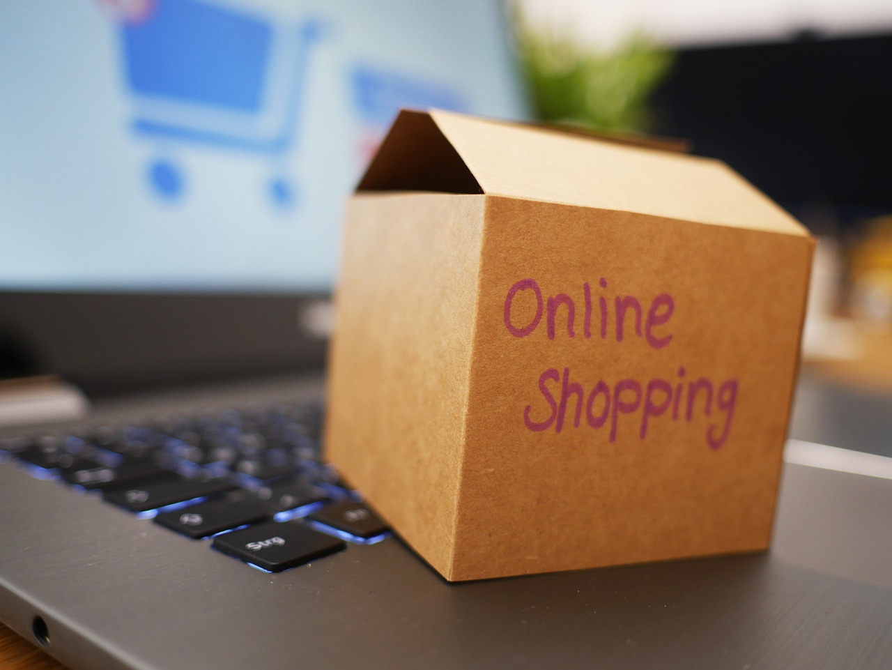 Small Business Web Design Solutions | TL;DR This Article Will…