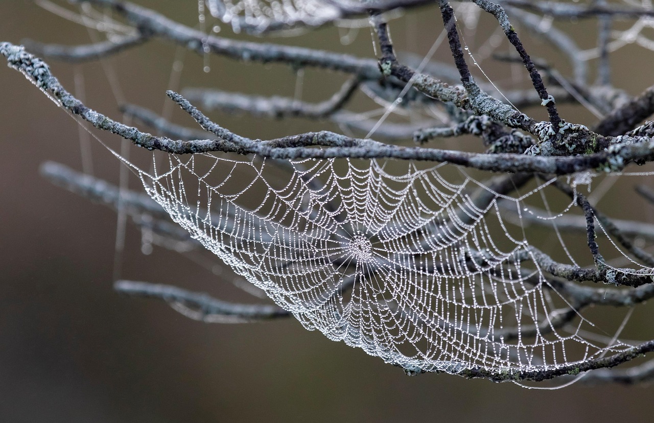 Summit County Web Design For Small Businesses ~ Summit County…
