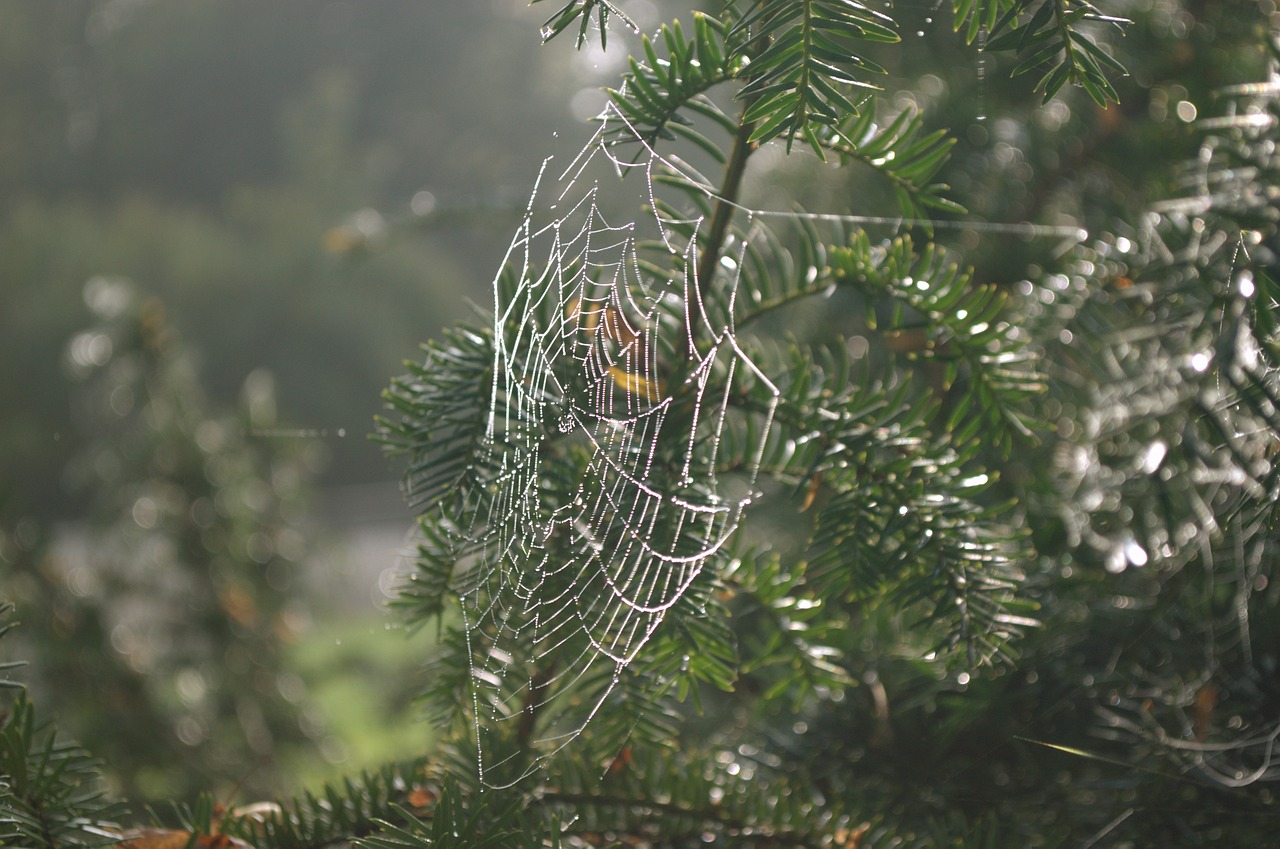 Web Designer Sugar House Park | TL;DR This Article Is…